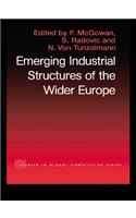 The Emerging Industrial Structure of the Wider Europe