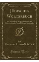 JÃ¼disches WÃ¶rterbuch: Mit Besonderer BerÃ¼cksichtigung Der GegenwÃ¤rtig in Polen Ã?blichen AusdrÃ¼cke (Classic Reprint)