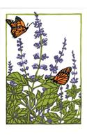 Sweet Basil (Boxed)