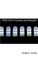 Wild Life in Canara and Ganjam