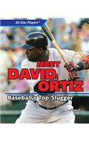 Meet David Ortiz