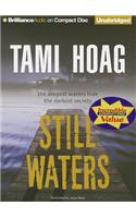Still Waters