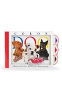 Color Dog
