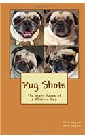 Pug Shots: The Many Faces of a Chinese Pug