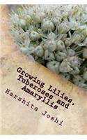 Growing Lilies, Tuberoses and Amaryllis