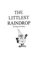 Littlest Raindrop: a young children's book