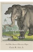 Do Elephants Have Knees?