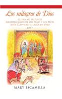 Los Milagros De Dios