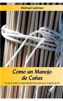 Como un manojo de cañas: Por que la unidad y la responsabilidad mutua estan hoy en la agenda del dia(English)