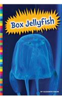 Box Jellyfish: (Poisonous Animals)