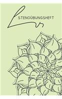 Stenoübungsheft