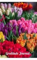 Gratitude Journal: Bunches of Tulips A notebook to record all of the things you are grateful for, 6 x 9 100 pages