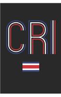 Vintage Costa Rica Notebook - Costa Rica Diary - Retro Costa Rican Flag Journal - Costa Rica Gifts