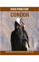Condor