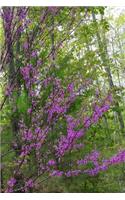 2019 Daily Planner Early Spring Lilac Branches 384 Pages: (2019 Planners Calendars Organizers Datebooks Appointment Books Agendas)