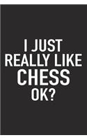 I Just Really Like Chess Ok?