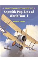 Sopwith Pup Aces of World War 1