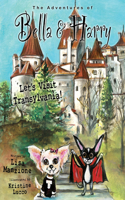 Let's Visit Transylvania!