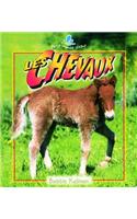Les Chevaux