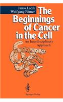 Beginnings of Cancer in the Cell