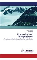 Processing and Interpretation