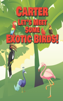 Carter Let's Meet Some Exotic Birds!: Personalized Kids Books with Name - Tropical & Rainforest Birds for Children Ages 1-3