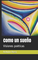 Como un sueño: Visiones poéticas