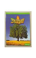 Harcourt Science Leveled Readers: Above Level Reader 5 Pack Grade 5 Life of an Oak Tree