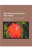 The Ventriculidae of the Chalk; Their Microscopic Structure, Affinities and Classification
