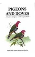 Pigeons and Doves: (English)
