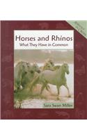 Horses and Rhinos