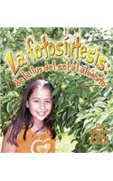 La Fotosintesis