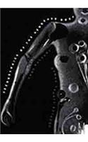 Technologies of the Gendered Body