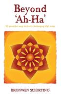 Beyond 'Ah-Ha'