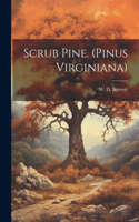 Scrub Pine. (Pinus Virginiana)