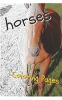 Horses Coloring Sheets