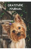 Gratitude Journal: Silky Yorkshire Terrier Dog Pic Diary for Recording What You Are Grateful For Each Day Motivational Writing Notebook: Cute Puppy Gratitude Book To L