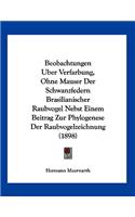 Beobachtungen Uber Verfarbung, Ohne Mauser Der Schwanzfedern Brasilianischer Raubvogel Nebst Einem Beitrag Zur Phylogenese Der Raubvogelzeichnung (1898)