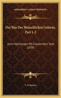 Der Bau Des Menschlichen Gehirns, Part 1-2