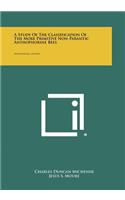 Study of the Classification of the More Primitive Non-Parasitic Anthophorine Bees