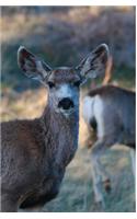 Kid's Petite Deer Journal: Volume One