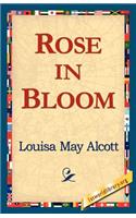 Rose in Bloom: (Hardcover)