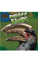 Creepy Birds