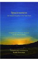 Spaciousness: The Radical Dzogchen of the Vajra-heart