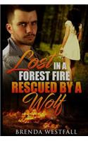 Lost in a Forest Fire Rescued by a Wolf