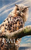 Owls Pocket Monthly Planner 2017: 16 Month Calendar(English)