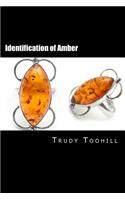 Identification of Amber