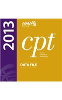 CPT 2013 Data File on CD-ROM Single User ASCII Only