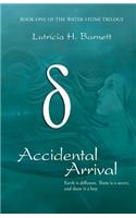 Accidental Arrival