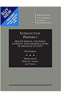 Intellectual Property - Casebook Plus: Private Rights, the Public Interest, and the Regulation (American Casebook Series (Multimedia))